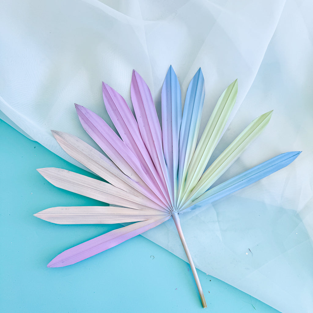 pastel rainbow dried sun palm cake topper